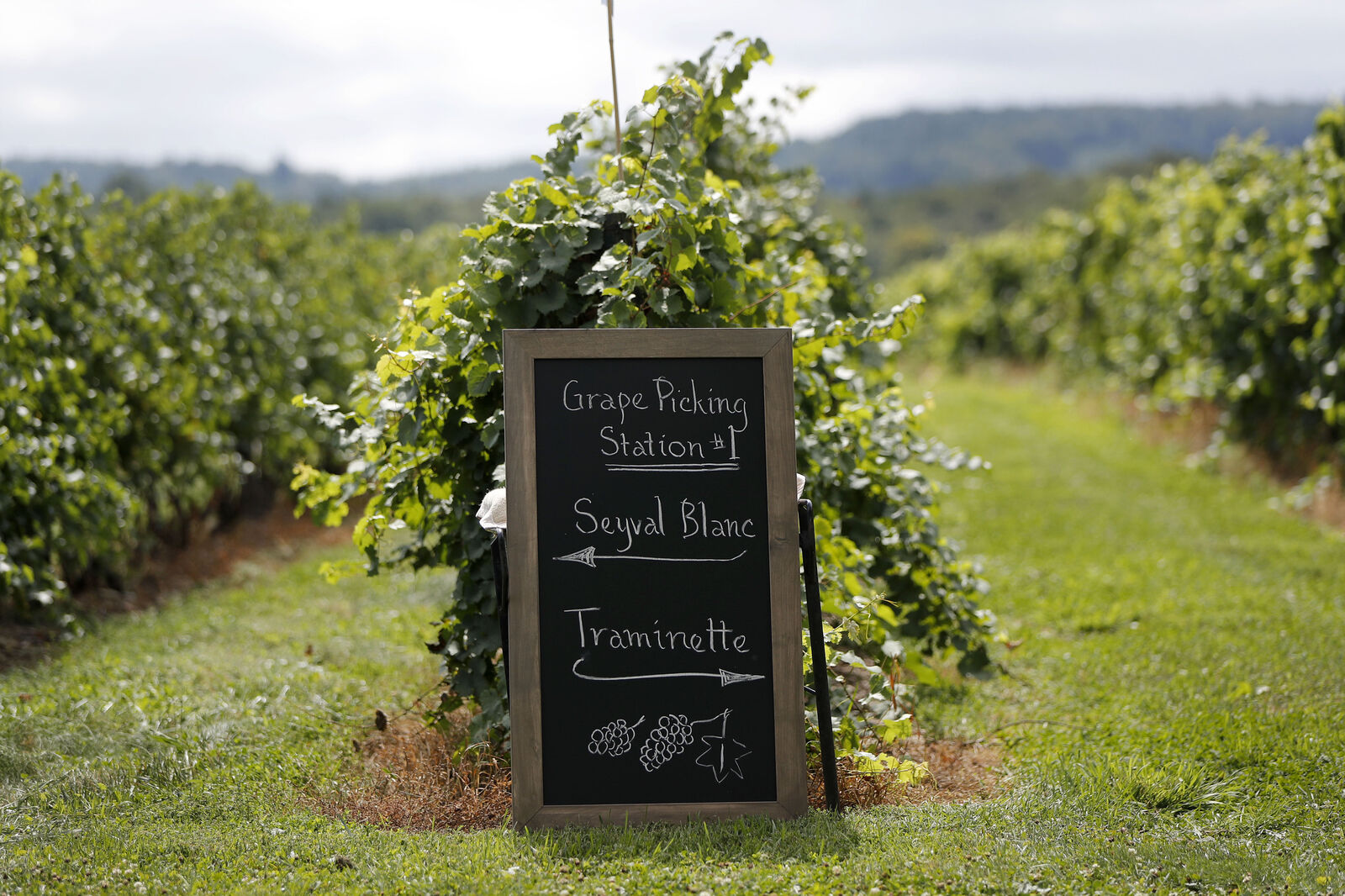 Johnson Estate Winery signage